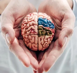 Memoryfuel Cognitive Health Supplement Bottle